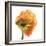 Poppy 10-Wiff Harmer-Framed Giclee Print