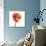 Poppy 12-Wiff Harmer-Giclee Print displayed on a wall