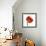 Poppy 14-Wiff Harmer-Framed Giclee Print displayed on a wall