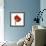 Poppy 14-Wiff Harmer-Framed Giclee Print displayed on a wall