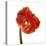 Poppy 14-Wiff Harmer-Stretched Canvas