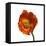 Poppy 20-Wiff Harmer-Framed Stretched Canvas