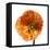 Poppy 23-Wiff Harmer-Framed Stretched Canvas