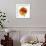 Poppy 23-Wiff Harmer-Framed Giclee Print displayed on a wall