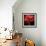 Poppy 9 - Red Icelandic Poppy-Doris Mitsch-Framed Photographic Print displayed on a wall