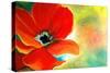 Poppy and Swirls-Jennifer Redstreake Geary-Stretched Canvas