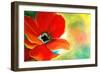 Poppy and Swirls-Jennifer Redstreake Geary-Framed Art Print