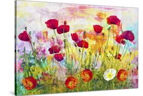 Poppy Art 2-Ata Alishahi-Stretched Canvas