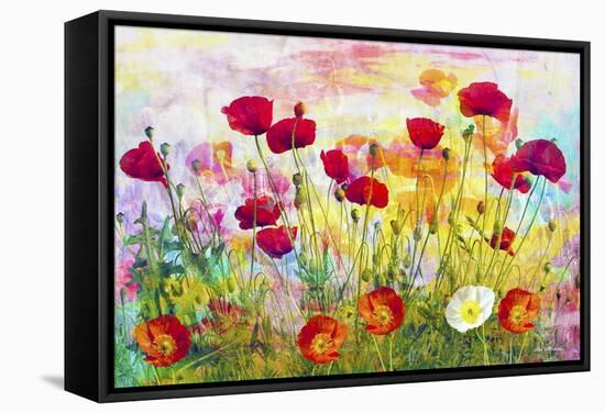Poppy Art 2-Ata Alishahi-Framed Stretched Canvas