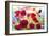 Poppy Art-Ata Alishahi-Framed Giclee Print