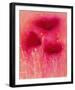 Poppy Blaze II-Emma Forrester-Framed Giclee Print