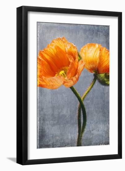 Poppy, Blossoms, Still Life-Axel Killian-Framed Premium Photographic Print