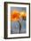 Poppy, Blossoms, Still Life-Axel Killian-Framed Photographic Print