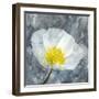 Poppy Blues 1-Ann Bailey-Framed Art Print