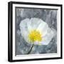 Poppy Blues 1-Ann Bailey-Framed Art Print