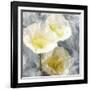 Poppy Blues 2-Ann Bailey-Framed Art Print