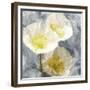 Poppy Blues 2-Ann Bailey-Framed Premium Giclee Print