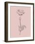 Poppy Blush Pink Flower-Jasmine Woods-Framed Art Print