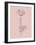 Poppy Blush Pink Flower-Jasmine Woods-Framed Art Print