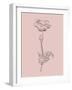 Poppy Blush Pink Flower-Jasmine Woods-Framed Art Print