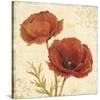 Poppy Bouquet I-Daphné B-Stretched Canvas
