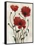 Poppy Bouquet I-Emma Scarvey-Framed Stretched Canvas