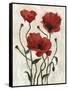 Poppy Bouquet I-Emma Scarvey-Framed Stretched Canvas