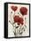 Poppy Bouquet I-Emma Scarvey-Framed Stretched Canvas