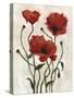 Poppy Bouquet I-Emma Scarvey-Stretched Canvas