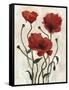 Poppy Bouquet I-Emma Scarvey-Framed Stretched Canvas