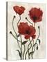 Poppy Bouquet I-Emma Scarvey-Stretched Canvas