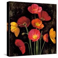 Poppy Bouquet I-John Seba-Stretched Canvas