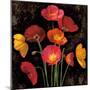 Poppy Bouquet I-John Seba-Mounted Art Print