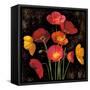 Poppy Bouquet I-John Seba-Framed Stretched Canvas