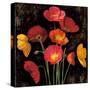 Poppy Bouquet I-John Seba-Stretched Canvas