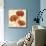 Poppy Bouquet II-Daphne Brissonnet-Mounted Giclee Print displayed on a wall