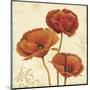 Poppy Bouquet II-Daphné B-Mounted Art Print