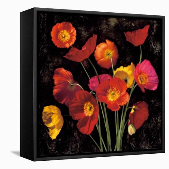 Poppy Bouquet II-John Seba-Framed Stretched Canvas