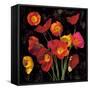 Poppy Bouquet II-John Seba-Framed Stretched Canvas