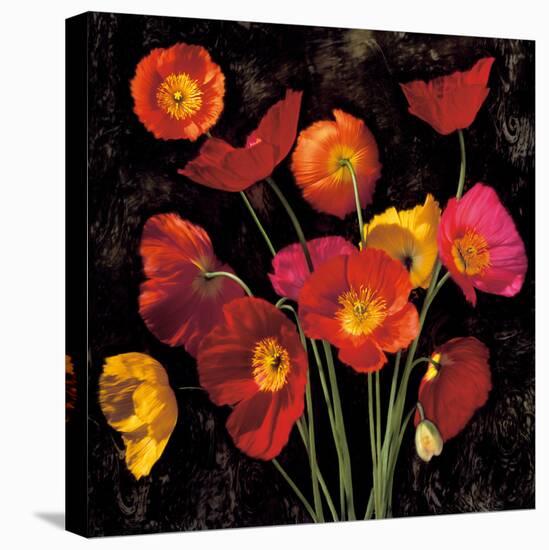 Poppy Bouquet II-John Seba-Stretched Canvas