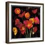 Poppy Bouquet II-John Seba-Framed Art Print