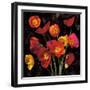 Poppy Bouquet II-John Seba-Framed Art Print