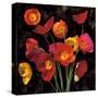 Poppy Bouquet II-John Seba-Stretched Canvas