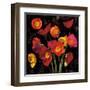 Poppy Bouquet II-John Seba-Framed Art Print