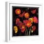 Poppy Bouquet II-John Seba-Framed Art Print