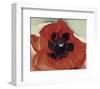 Poppy, c.1927-Georgia O'Keeffe-Framed Art Print