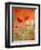 Poppy, camomile and larkspur-Herbert Kehrer-Framed Premium Photographic Print