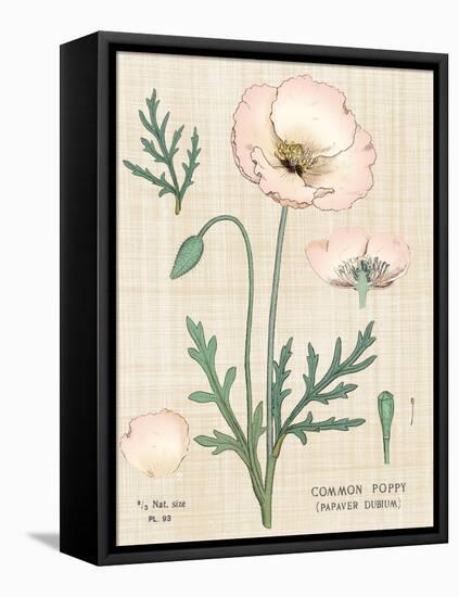 Poppy Chart Linen-Sue Schlabach-Framed Stretched Canvas