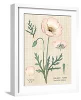 Poppy Chart Linen-Sue Schlabach-Framed Art Print