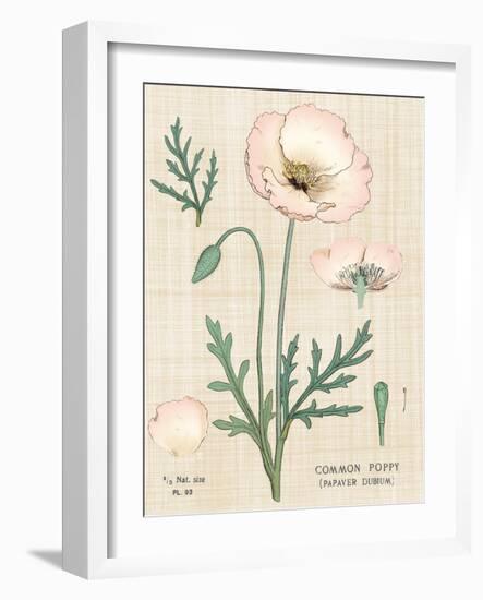 Poppy Chart Linen-Sue Schlabach-Framed Art Print